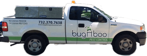 Bugaboo Pest Control Truck
